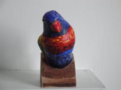 Rainbow lorikeet bust