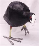 Curious Coot by Dianne Preston, Sculpture, Wire and Paper