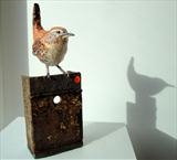 Wren by Dianne Preston, Sculpture, Papier mâché, wire and steel