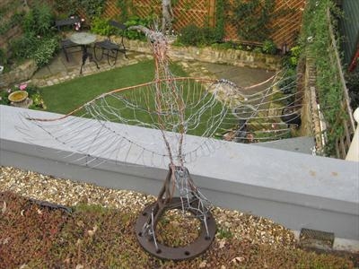 Hoopoe by Dianne Preston, Sculpture, Wire and steel