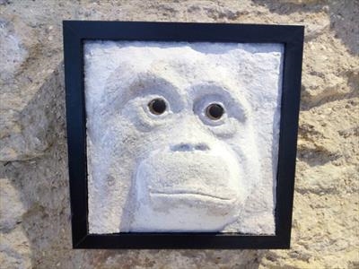 Orangutan - endangered species series by Dianne Preston, Sculpture, wire, plaster, papier mâché